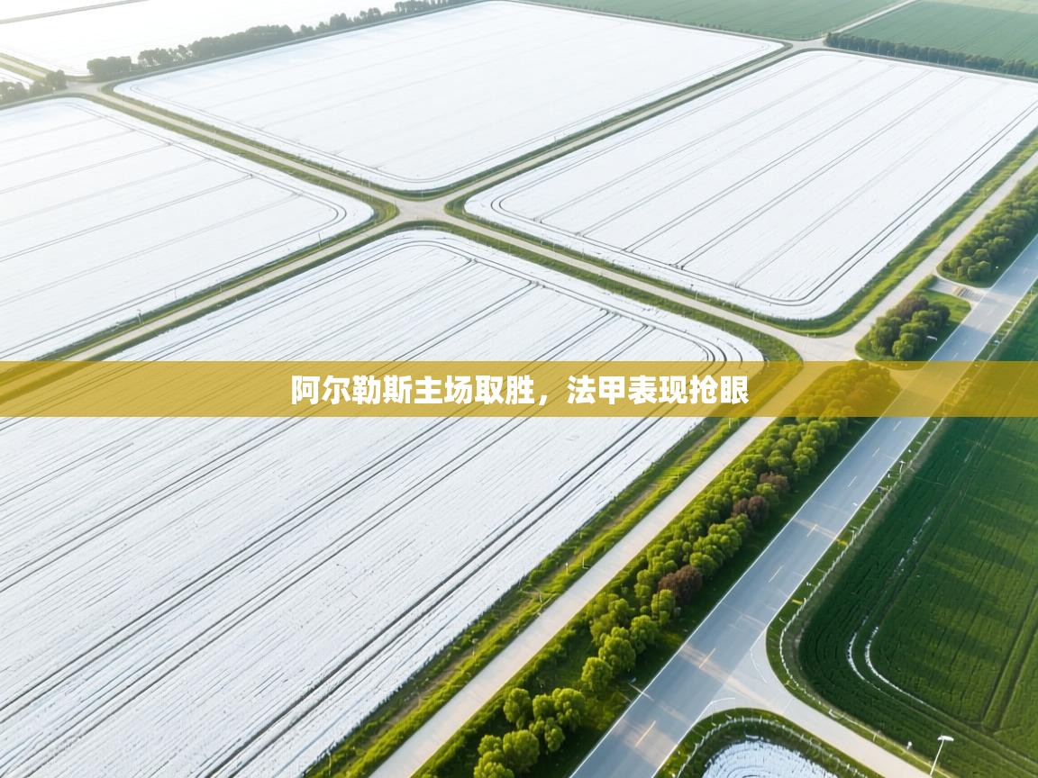 阿尔勒斯主场取胜，法甲表现抢眼