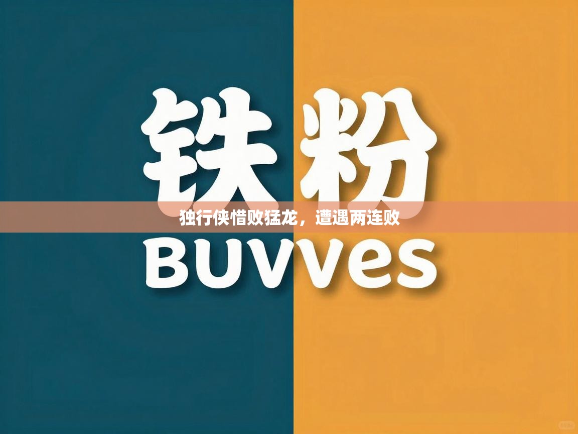 独行侠惜败猛龙，遭遇两连败  第2张