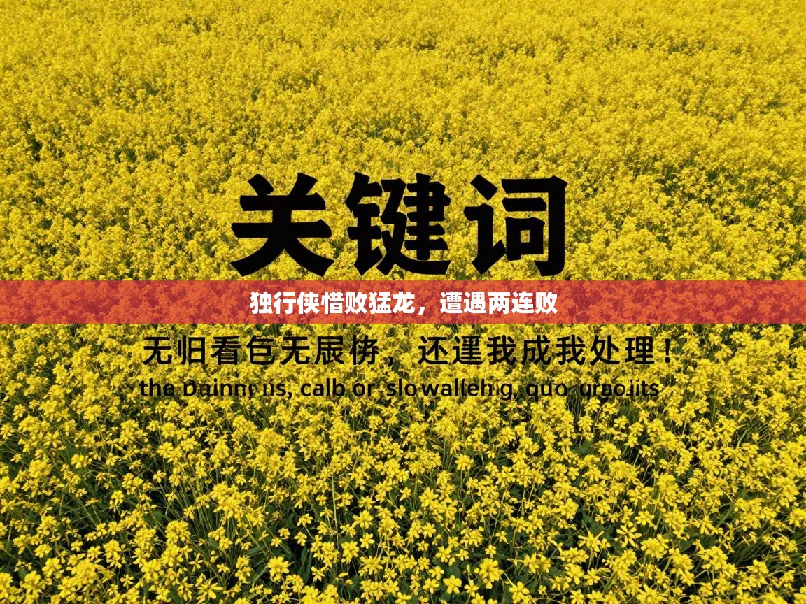 独行侠惜败猛龙，遭遇两连败  第1张