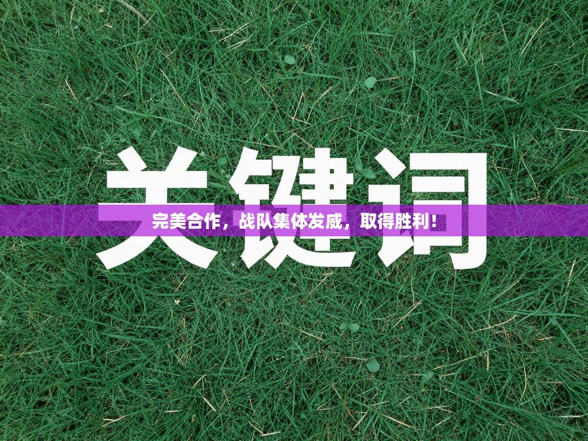 完美合作，战队集体发威，取得胜利！  第2张