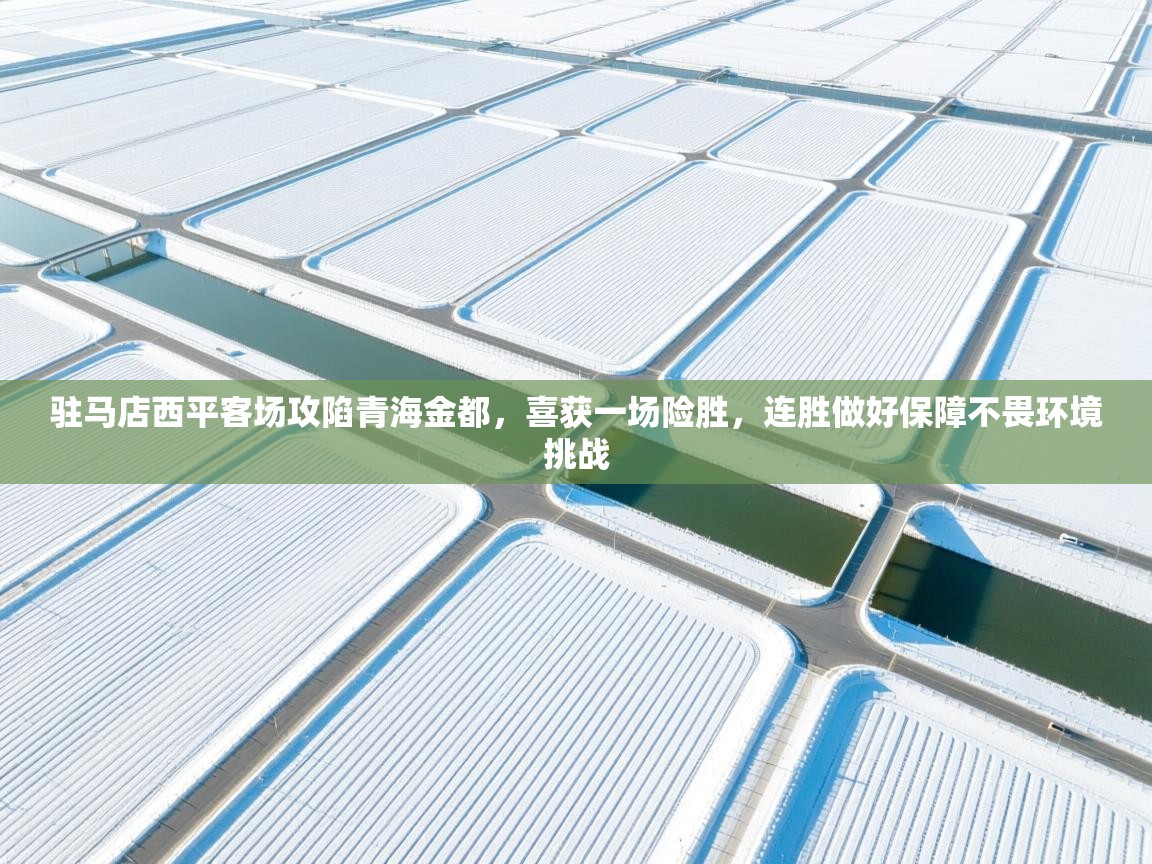 驻马店西平客场攻陷青海金都，喜获一场险胜，连胜做好保障不畏环境挑战  第2张
